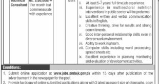 AJK Government Planing and Development Department Jobs in Muzafarabad